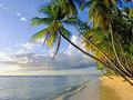 st barts beaches